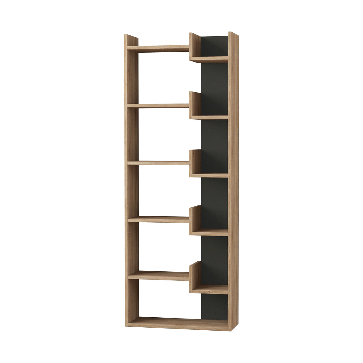 Oppa Bibliothèque moderne avec étagères de présentation, Grande 162,4 cm