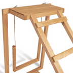 Aire de jeux en bois pour poules avec balançoire et perchoir