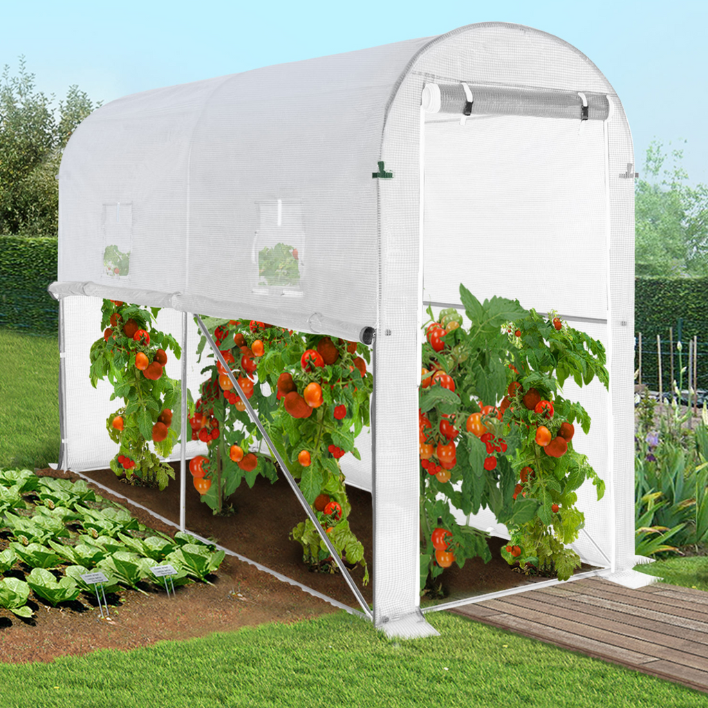Bâche de rechange 130g/m² pour serre à tomates 3m² blanche relevable 2 fenêtres + porte zippée