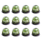 Cloches à salades x12 serre de protection pour plants
