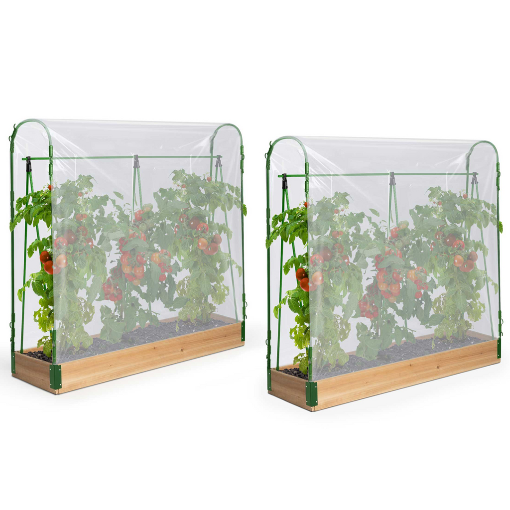 Duo de serres à tomates modulables spéciales croissance, kit complet avec bâche et support