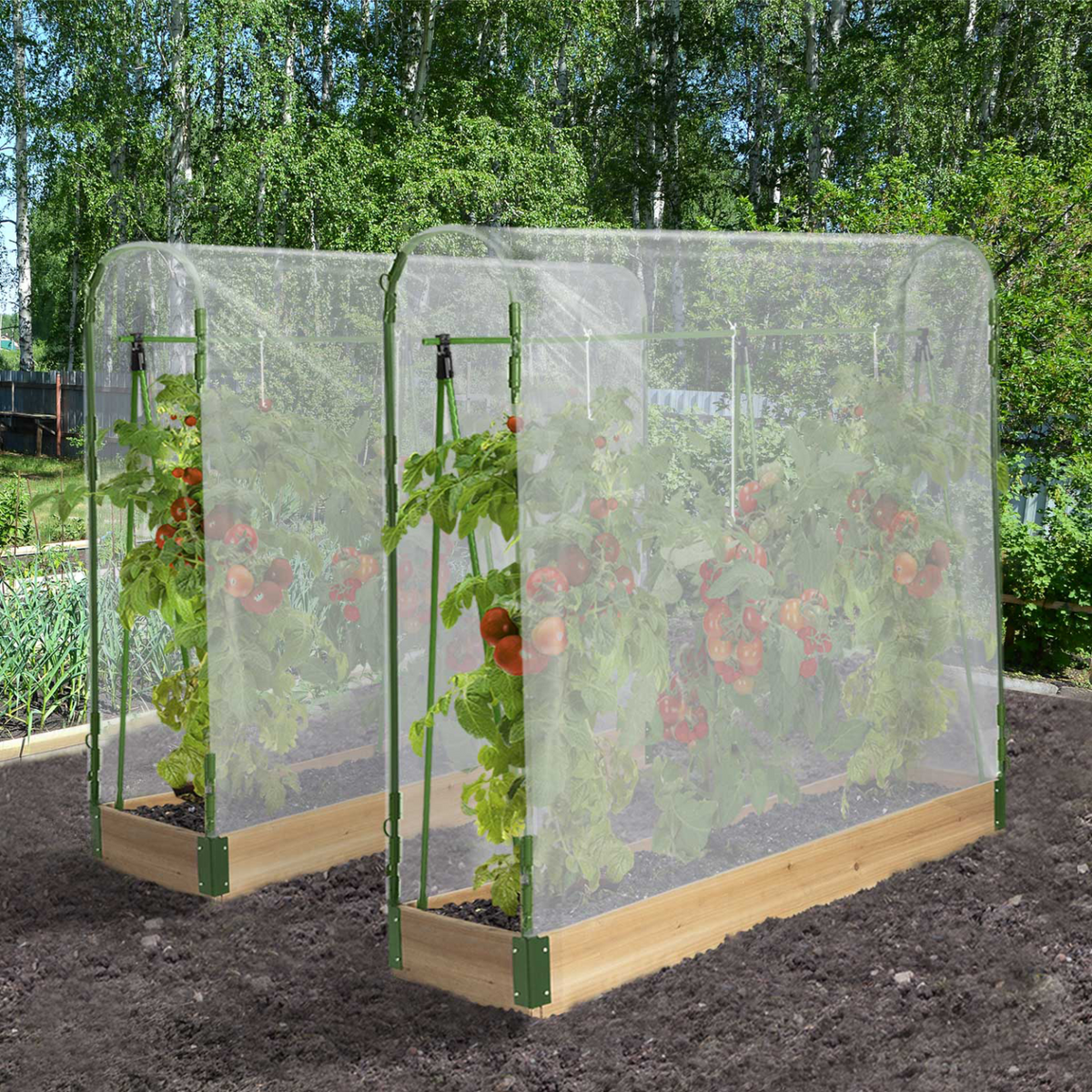 Duo de serres à tomates modulables spéciales croissance, kit complet avec bâche et support