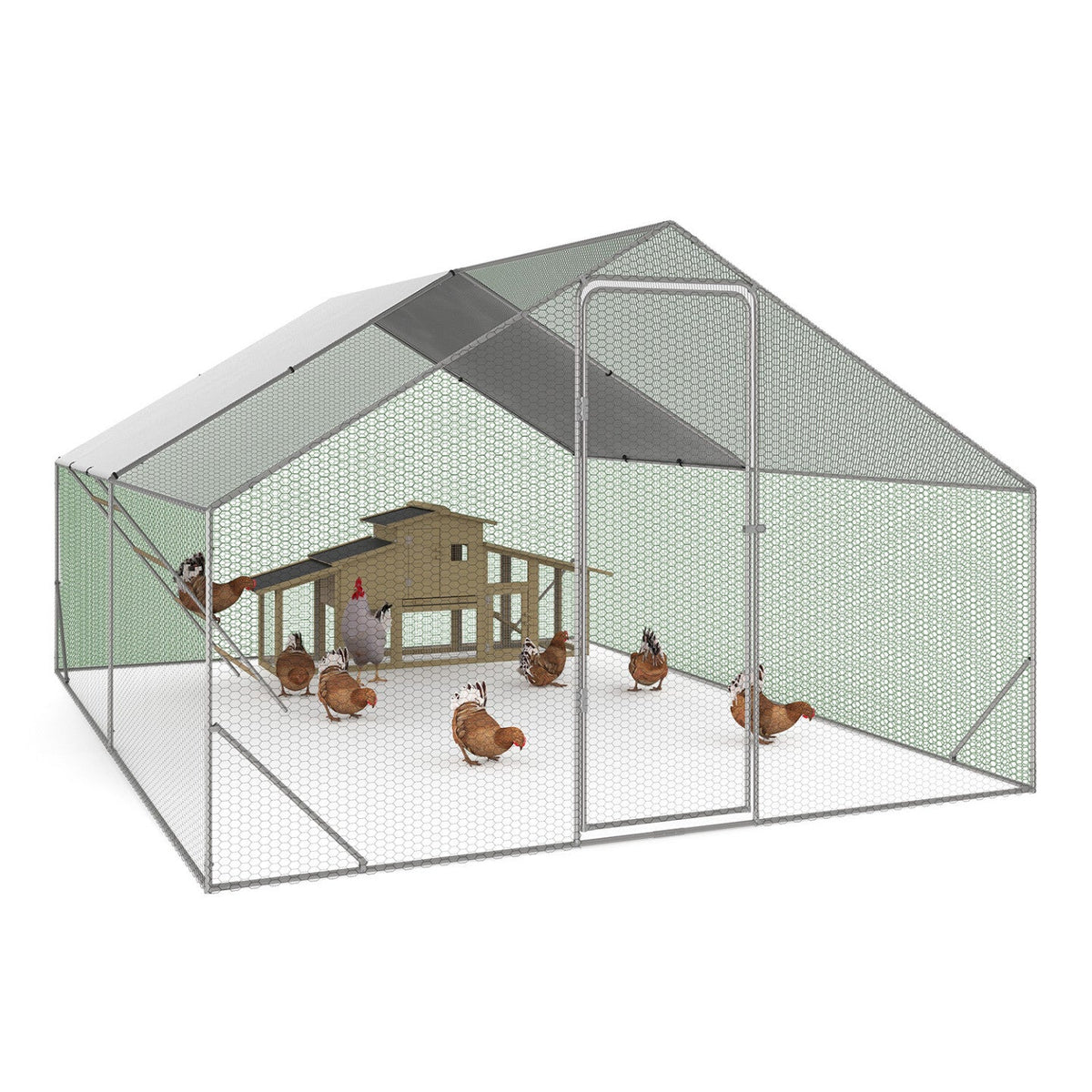 Enclos poulailler 12 m² 4x3 m avec grand perchoir 4 niveaux en bois et acier galvanisé