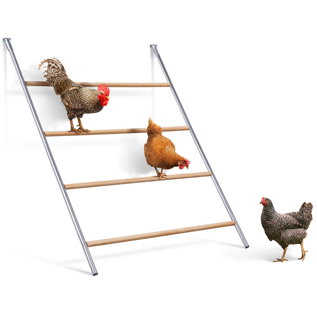 Grand perchoir en bois à 4 niveaux pour poules compatible avec un enclos