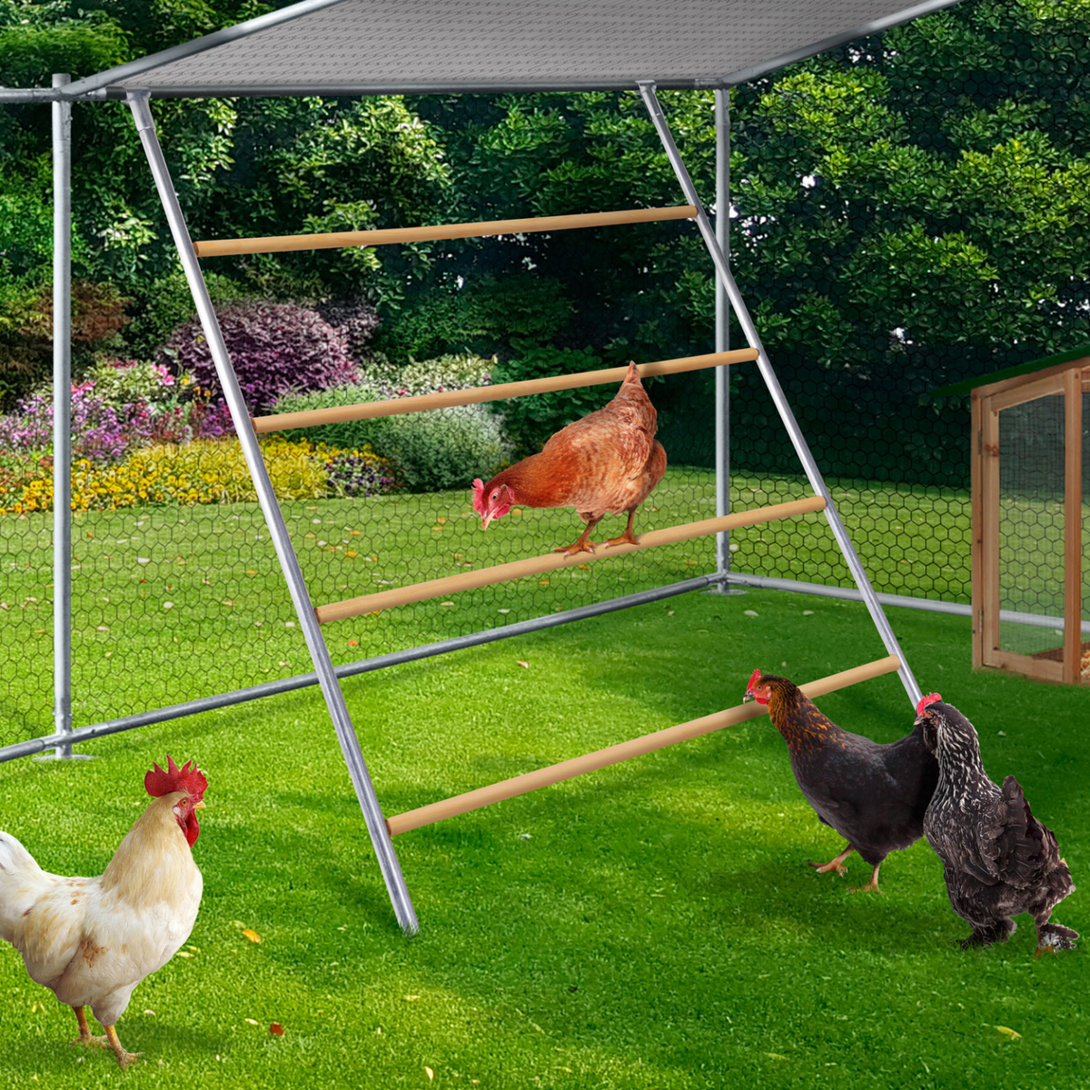 Grand perchoir en bois à 4 niveaux pour poules compatible avec un enclos