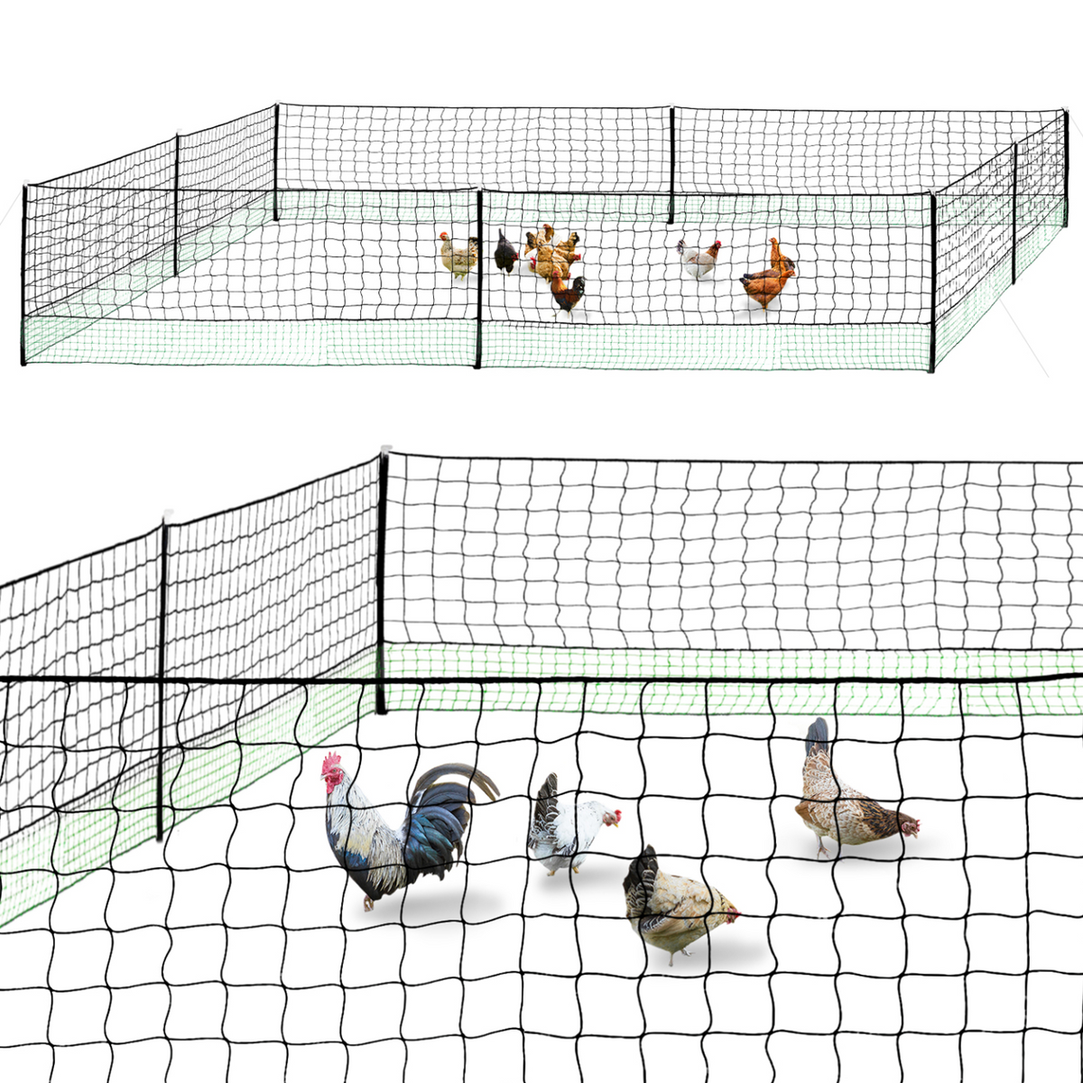 Kit filet à poules 24 m avec porte, 9 piquets double pointe