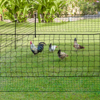 Kit filet à poules 24 m avec porte, 9 piquets double pointe