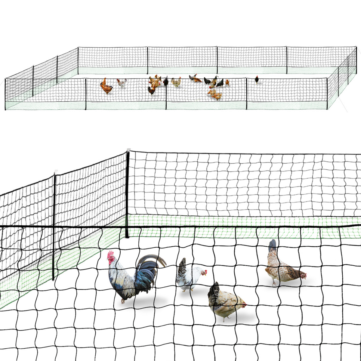Kit clôture filet à poules 50 m avec porte et 15 piquets double pointe