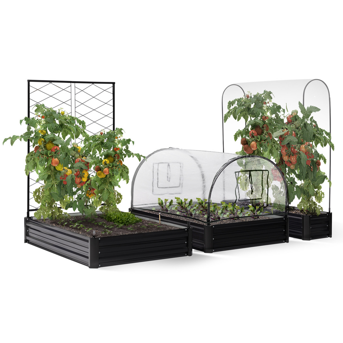 Kit complet 3 bacs potagers carrés modulables en métal et serre à tomates + treillis + housse