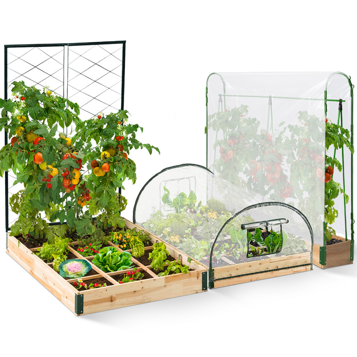 Kit complet 3 bacs modulables pour potager et serre à tomates + treillis + housse
