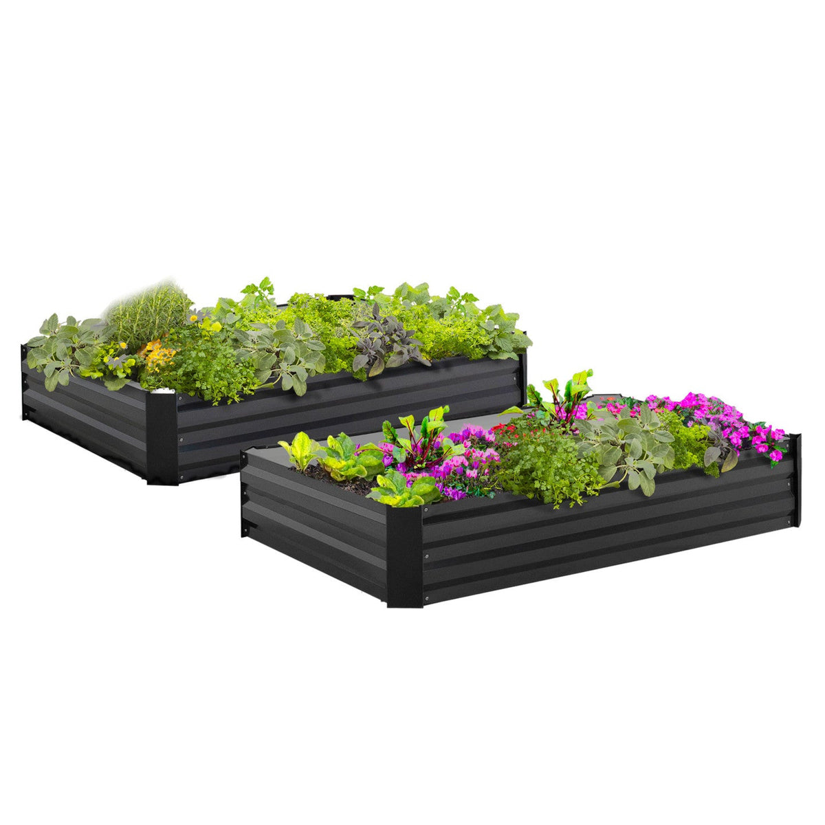 Lot de 2 carrés potagers en métal, châssis rectangulaire 80x115 cm, gris anthracite
