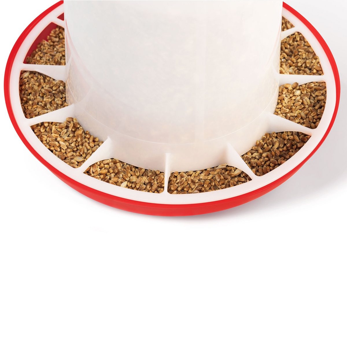 Lot mangeoire 3 kg et abreuvoir 3 l pour poules et volailles