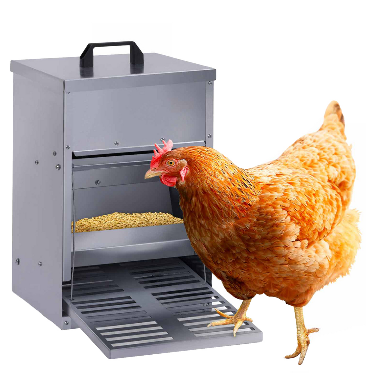 Mangeoire à pédale pour poules, distributeur automatique 5 kg anti-nuisibles