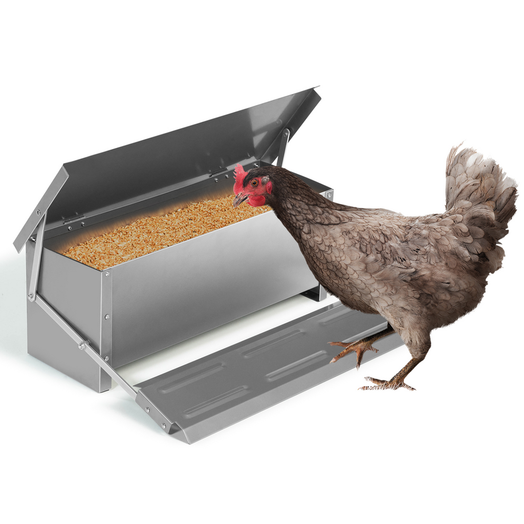 Mangeoire XXL pour poules, distributeur automatique à pédale en acier, 10 kg