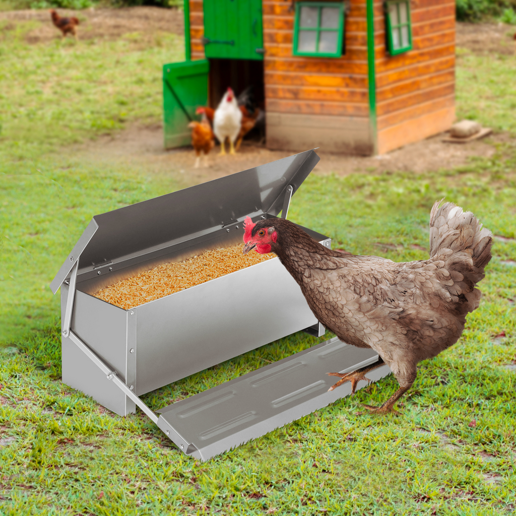 Mangeoire XXL pour poules, distributeur automatique à pédale en acier, 10 kg