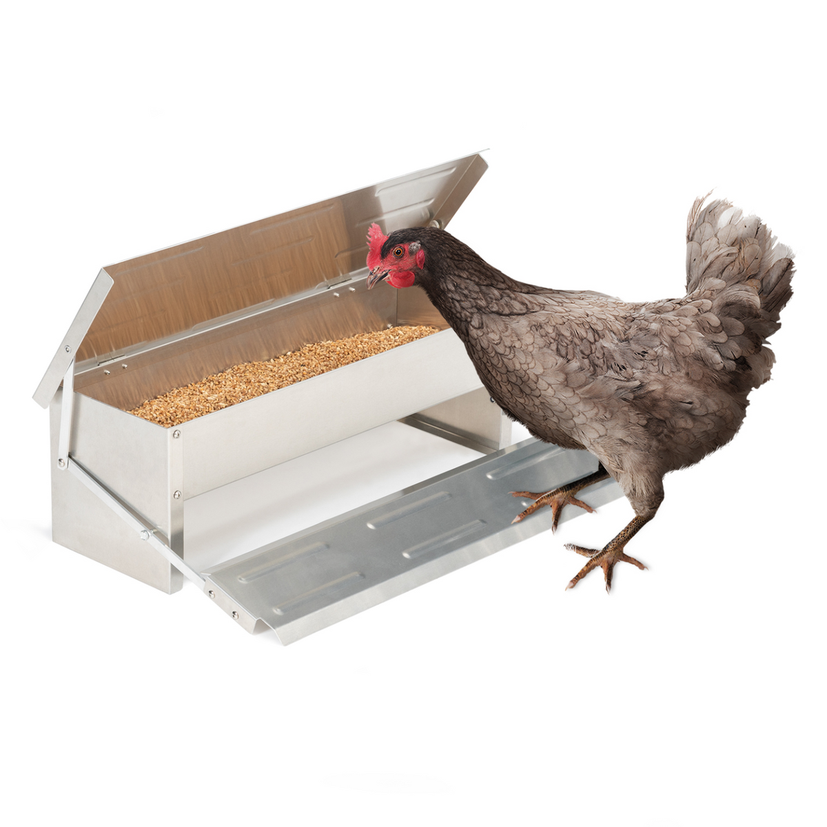 Mangeoire XL pour poules, distributeur automatique à pédale en acier, 5 kg