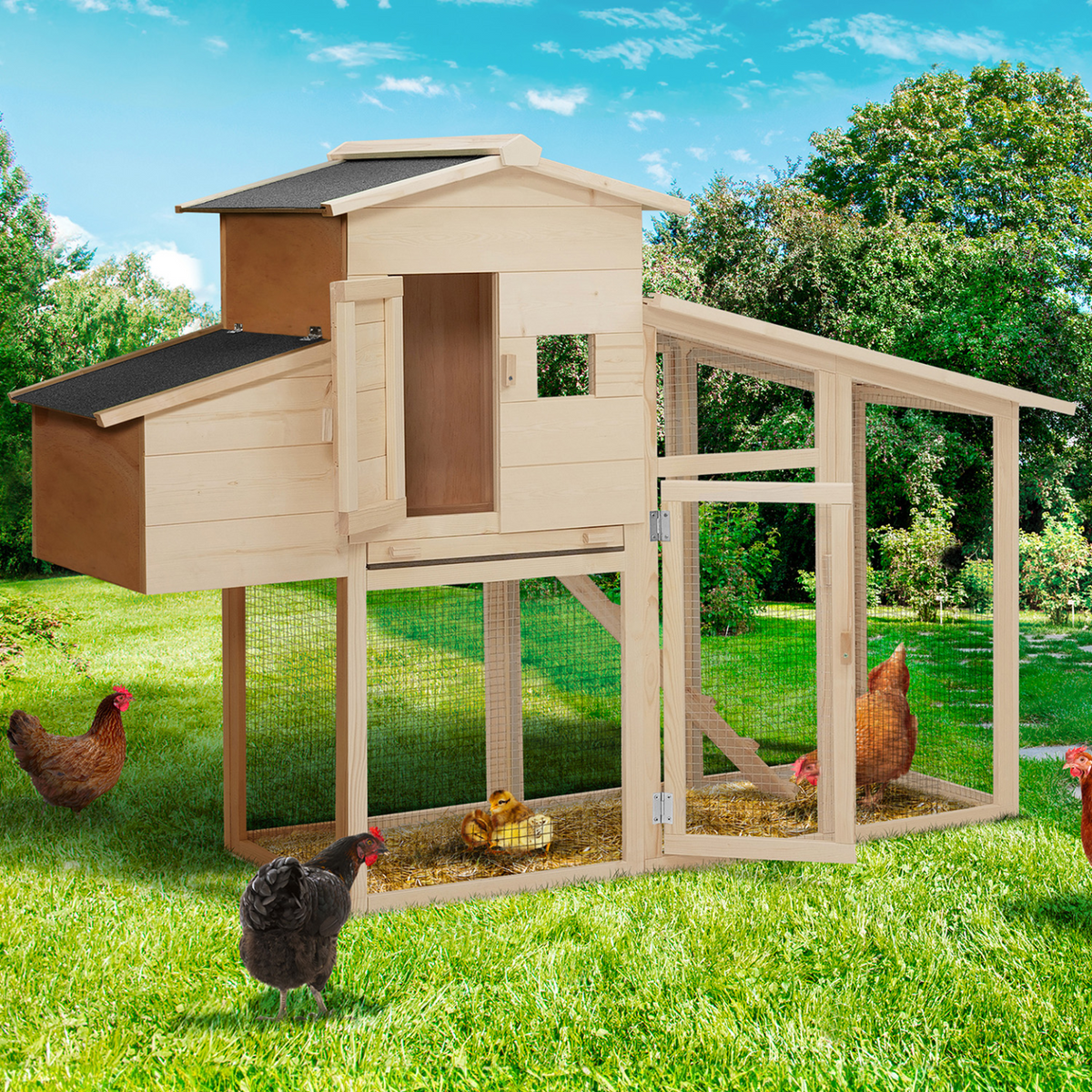 Poulailler clapier en bois confort avec pondoir, enclos et tiroir à déjections, 4 poules