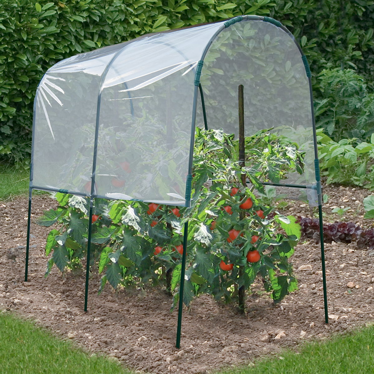 Serre à tomates de jardin 200 x 120 x 170 cm avec bâche transparente + arceaux en acier