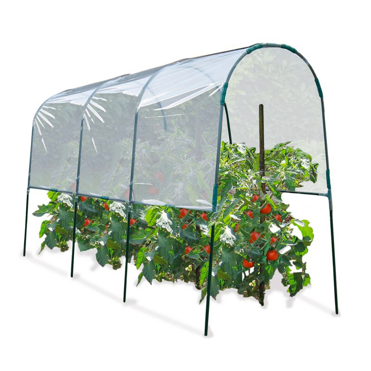 Serre à tomates de jardin 400 x 120 x 170 cm avec bâche transparente + arceaux en acier