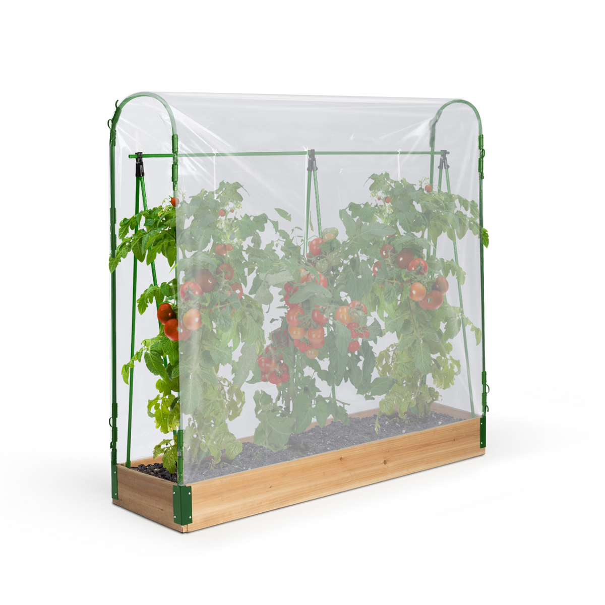 Serre à tomates spéciale croissance, kit complet avec bâche et support