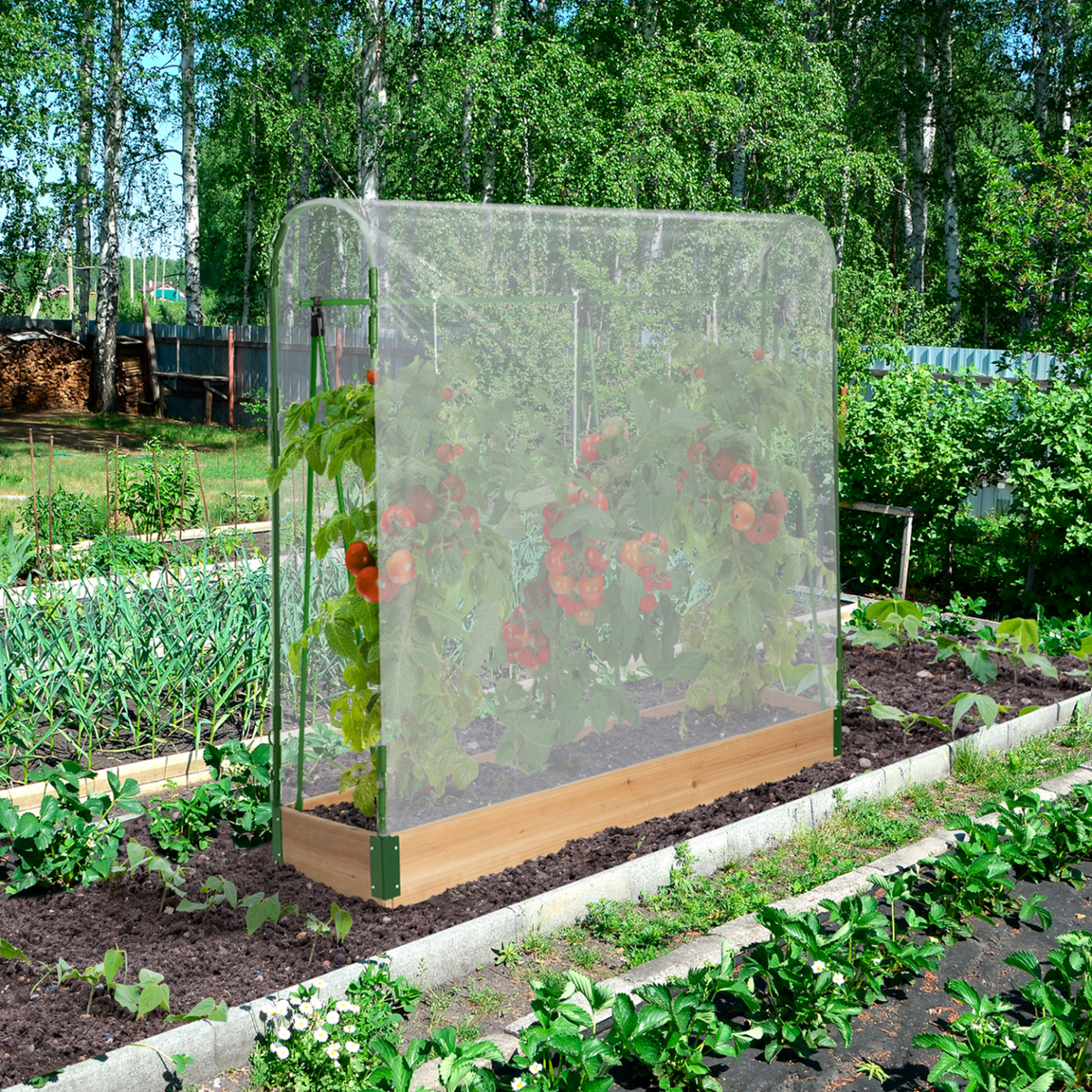 Serre à tomates spéciale croissance, kit complet avec bâche et support