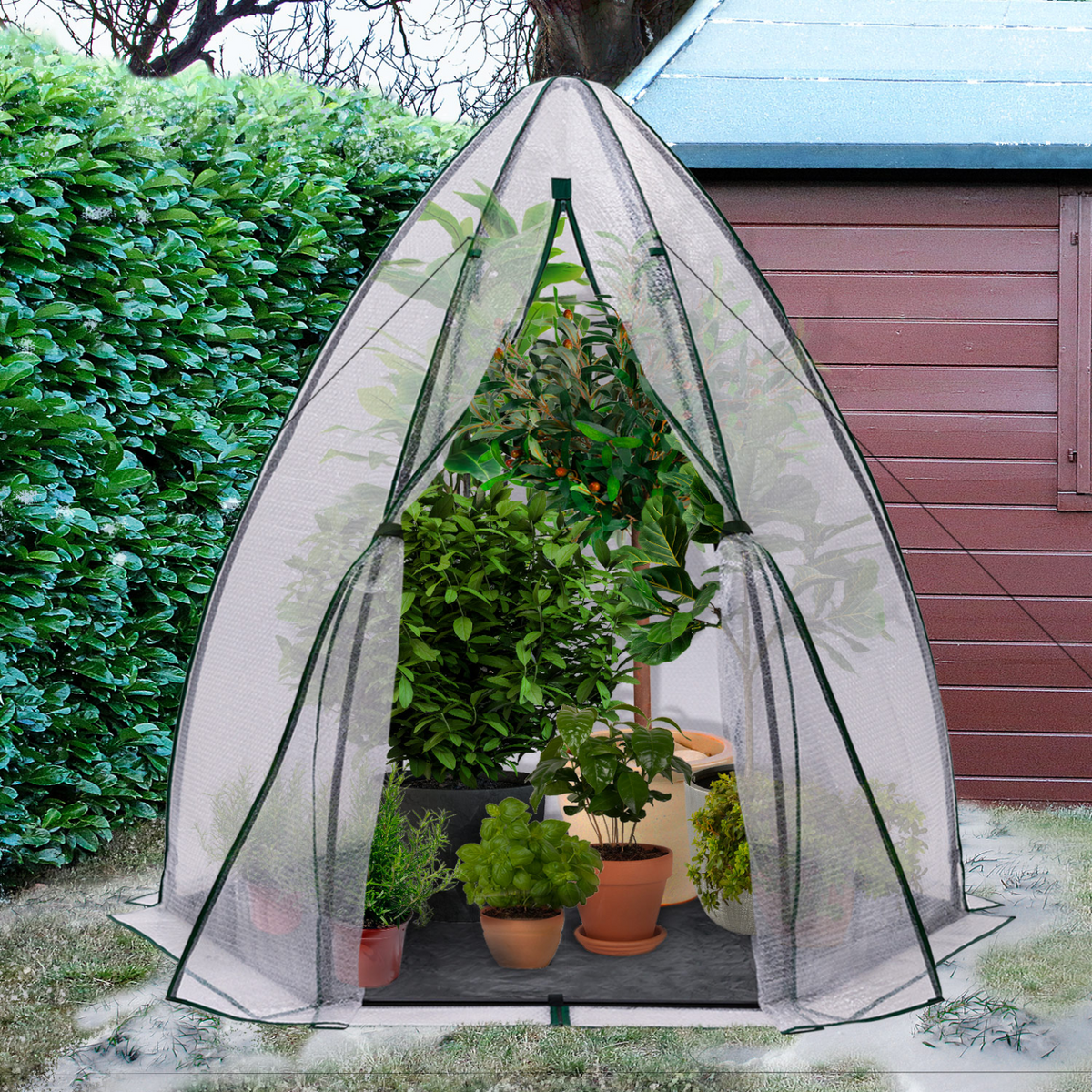 Serre d'hivernage dôme bâche à bulles 160 x 160 x 180 cm maxi chaleur balcon et terrasse