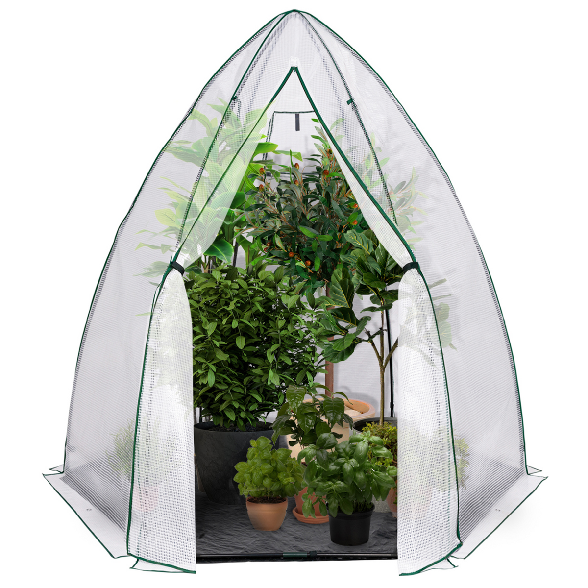 Serre d'hivernage dôme grand format 250 x 250 x 200 cm pour balcon et terrasse