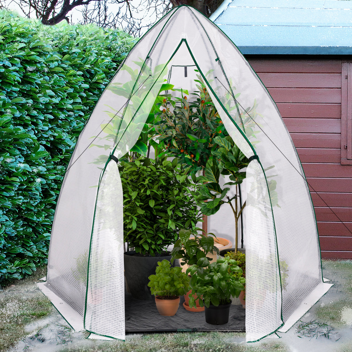 Serre d'hivernage dôme grand format 250 x 250 x 200 cm pour balcon et terrasse