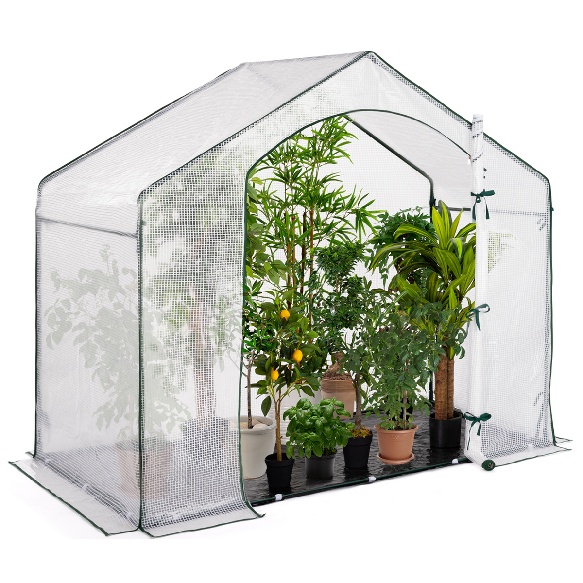 Serre d'hivernage maison 200 x 80 x 160 cm pour balcon et terrasse