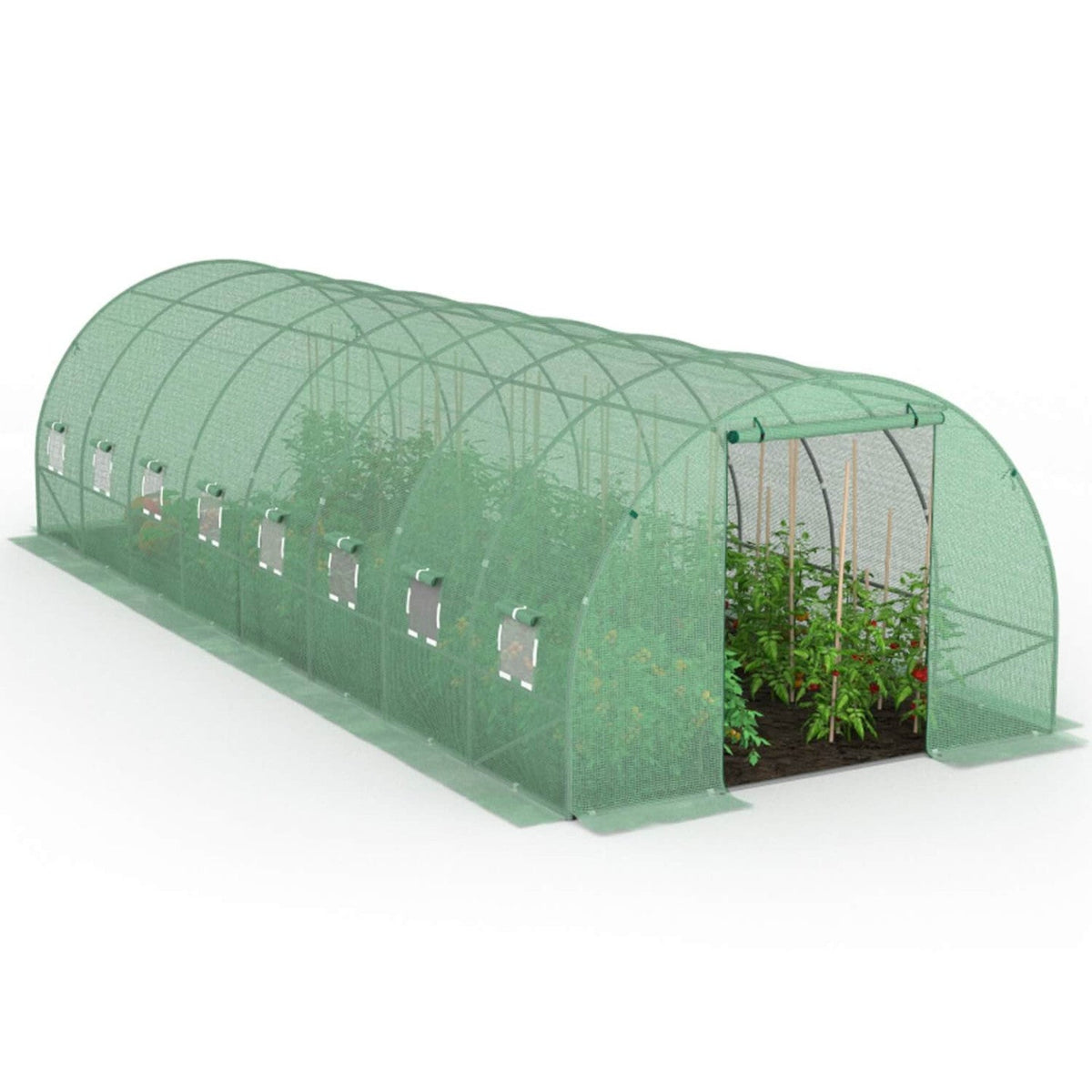 Serre de jardin tunnel 24 m² 8 x 3 x 2 m en acier galvanisé + bâche anti-UV avec porte et fenêtres DES ANDES verte