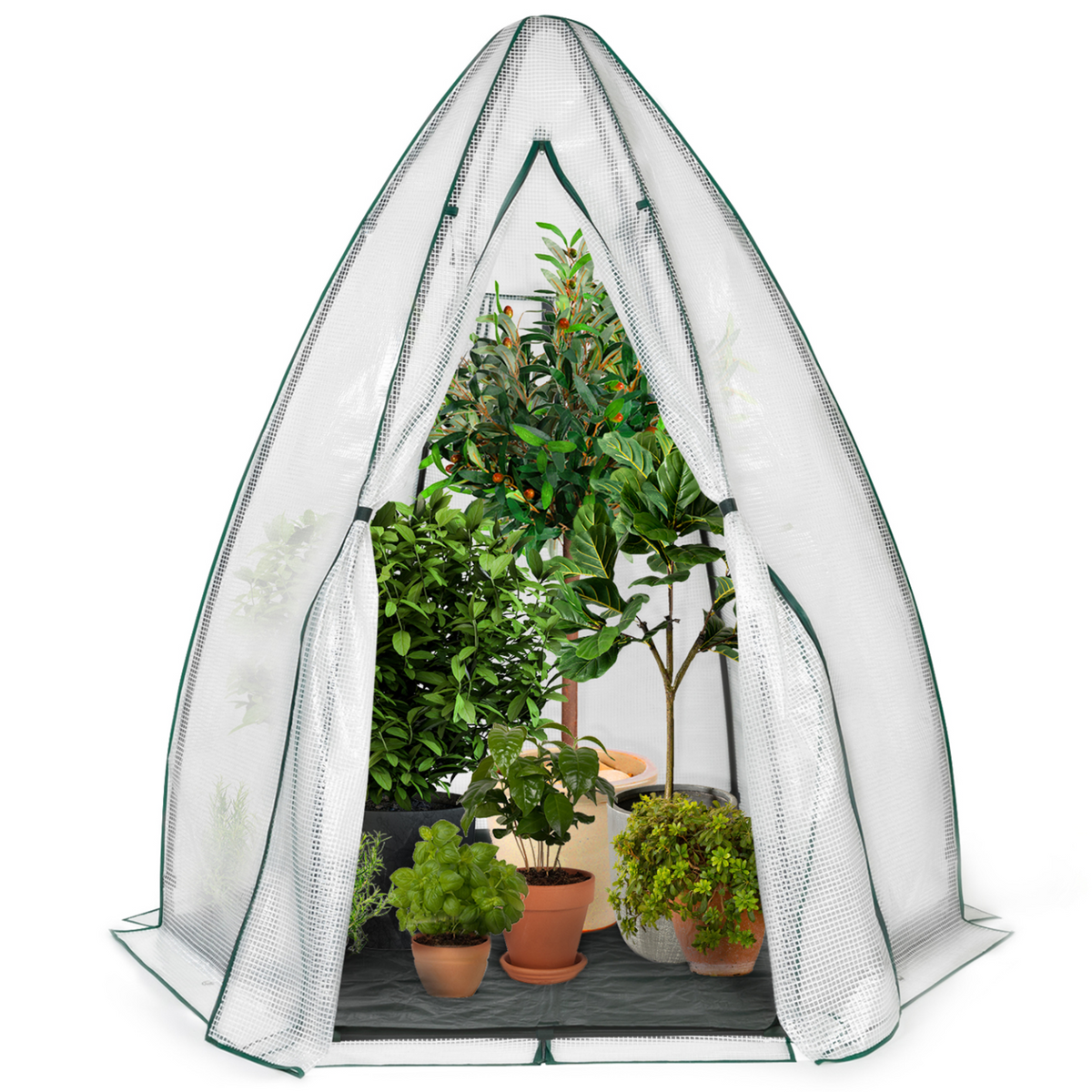 Serre d'hivernage dôme 160 x 160 x 180 cm pour balcon et terrasse