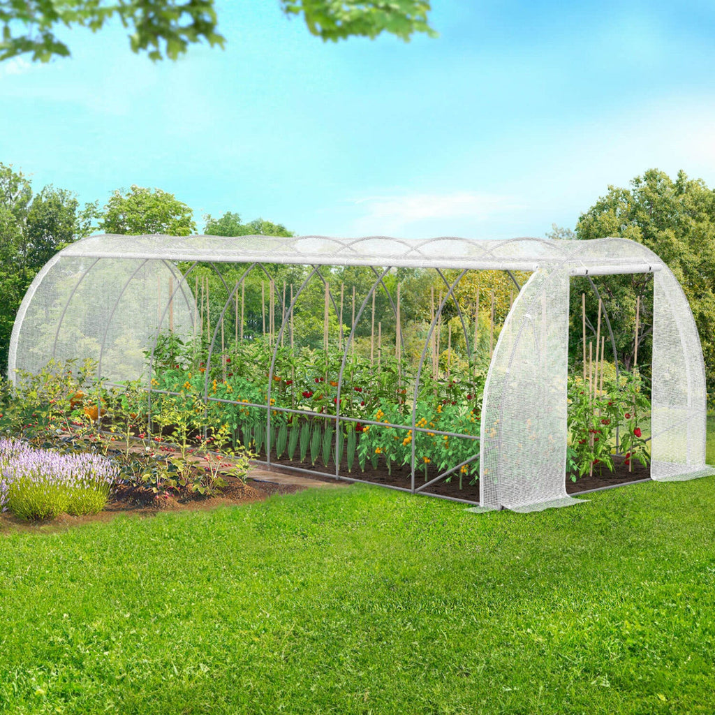 Serre de jardin tunnel 24m² 8 x 3 x 2 m acier galvanisé + bâche anti-UV avec porte et fenêtres DES ANDES blanche toutes saisons