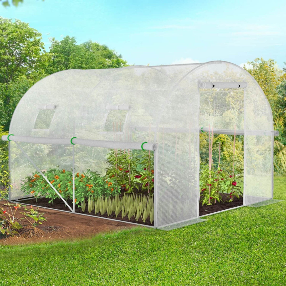 Serre de jardin tunnel 6 m² 3 x 2 x 2 m en acier galvanisé + bâche anti-UV avec porte et fenêtres ROMA blanche toutes saisons