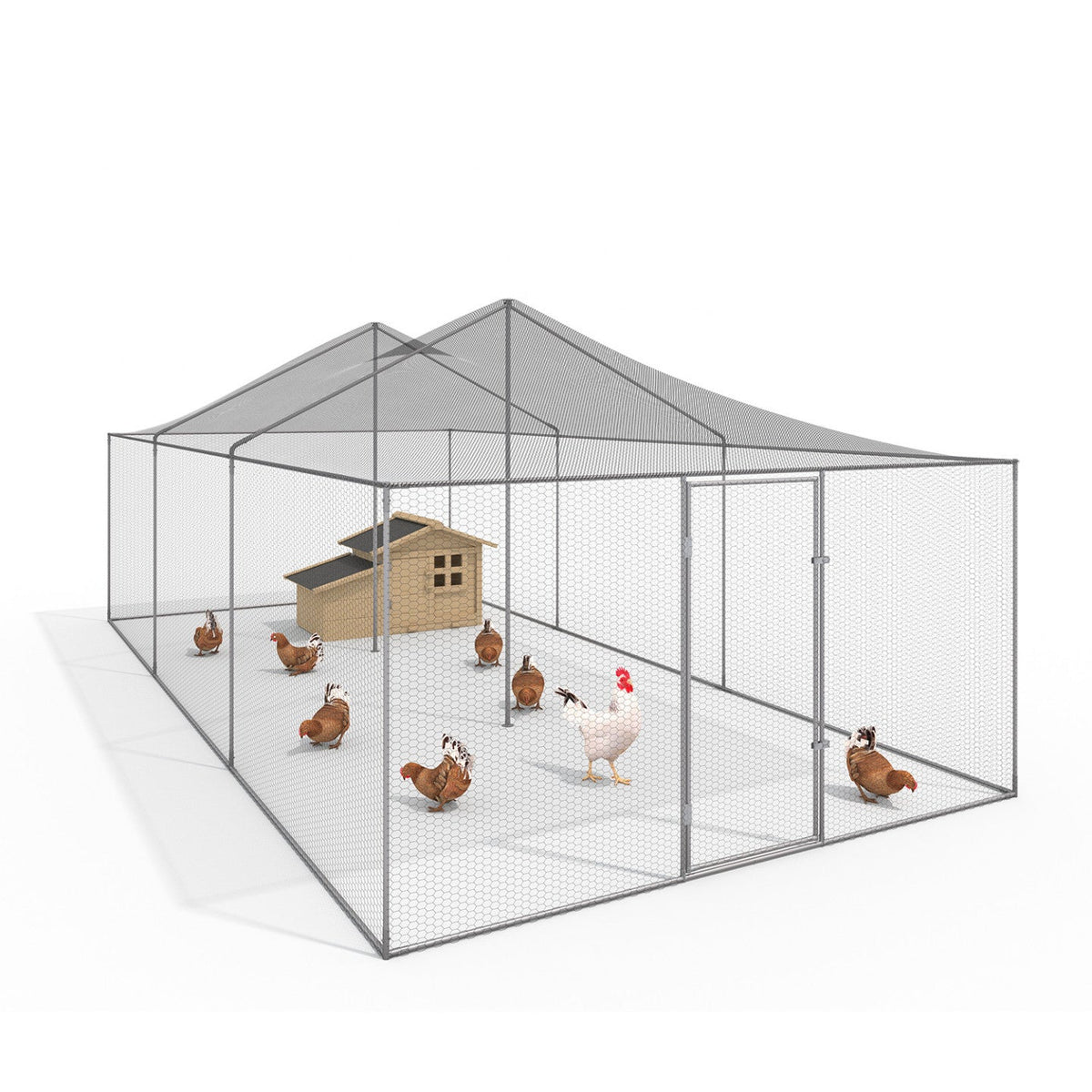 Volière de 18 m², parc grillagé 6 x 3 m, enclos poulailler pour animaux de basse-cour